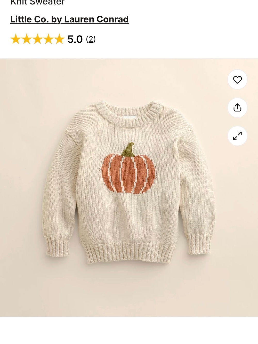 Little Company toddler child pumpkin sweater size 4T